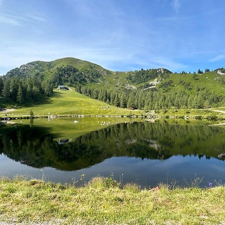 Flatzerhof Daire Haus im Ennstal Dış mekan fotoğraf