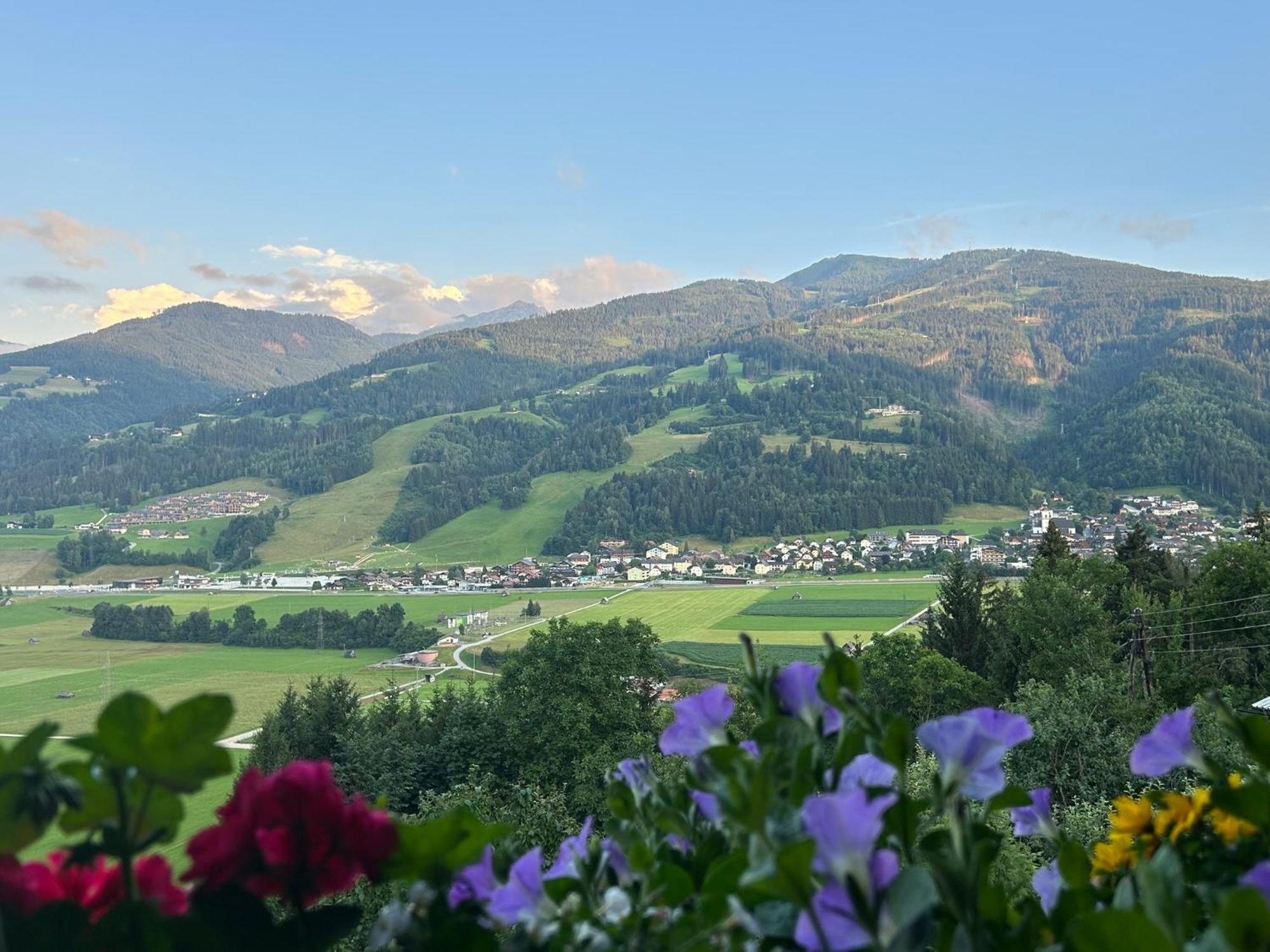 Flatzerhof Daire Haus im Ennstal Dış mekan fotoğraf