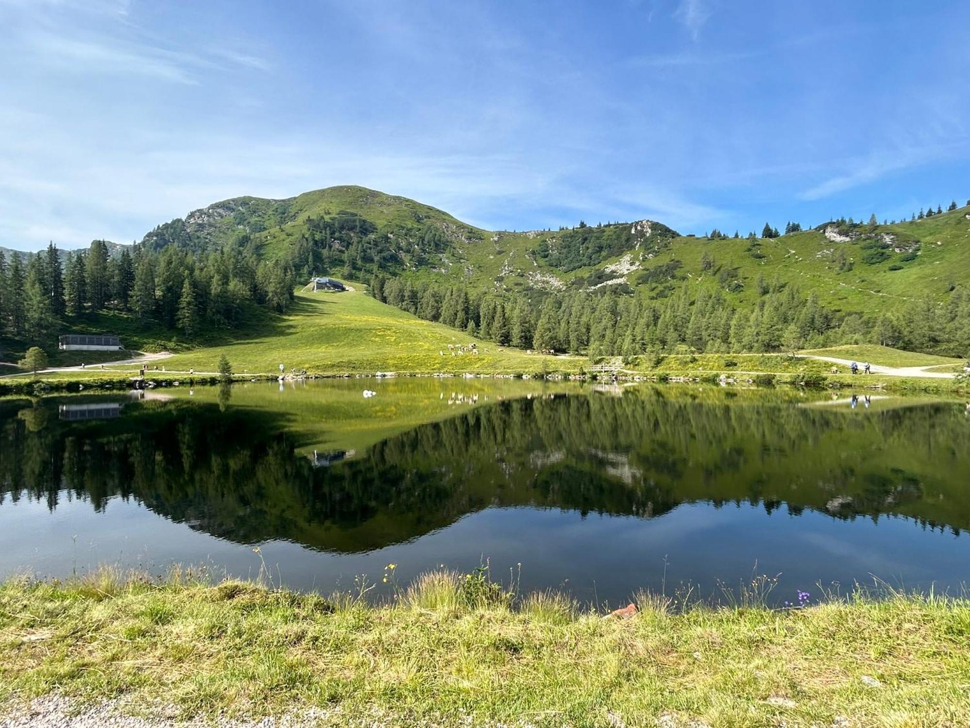 Flatzerhof Daire Haus im Ennstal Dış mekan fotoğraf