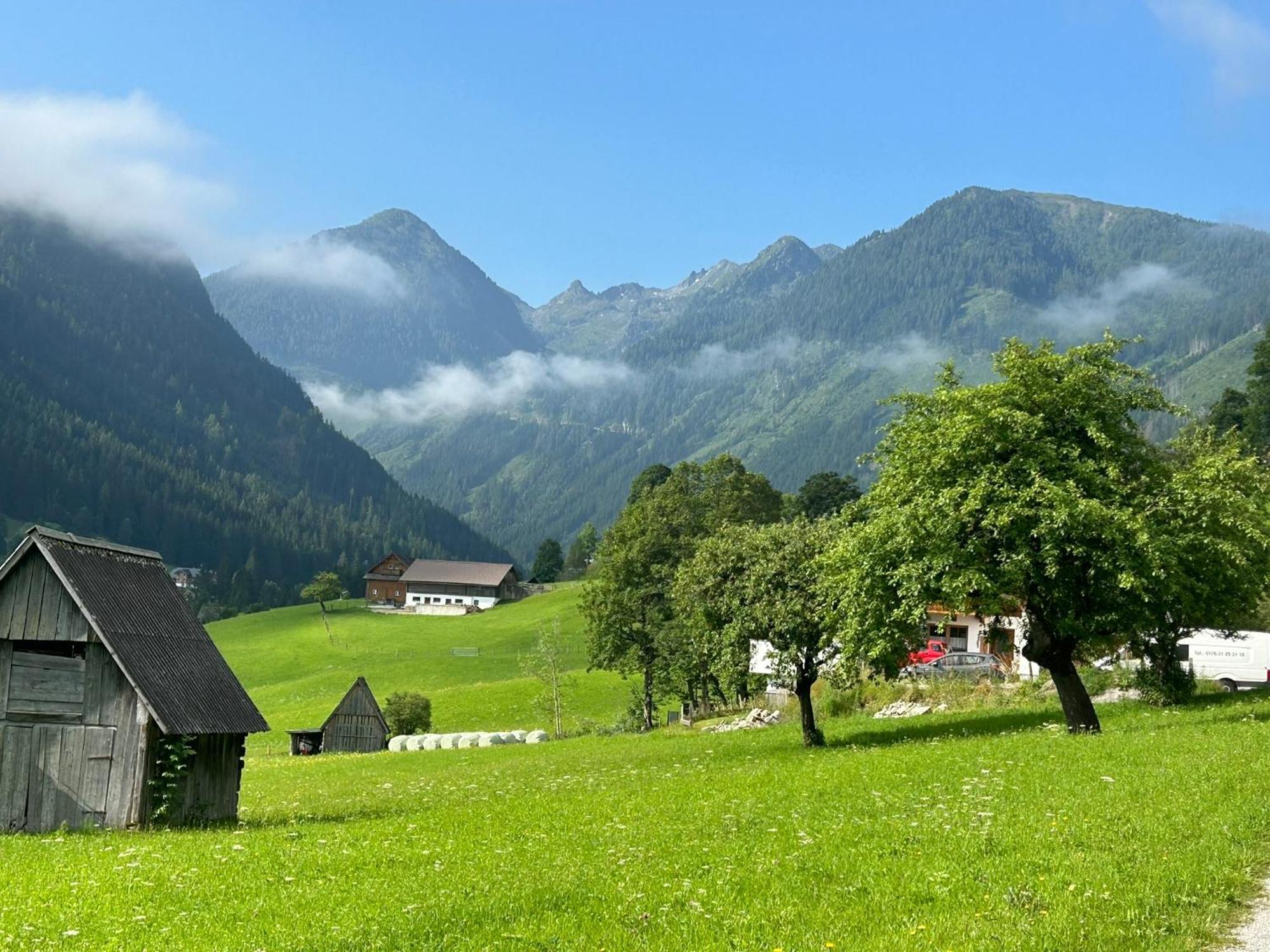 Flatzerhof Daire Haus im Ennstal Dış mekan fotoğraf