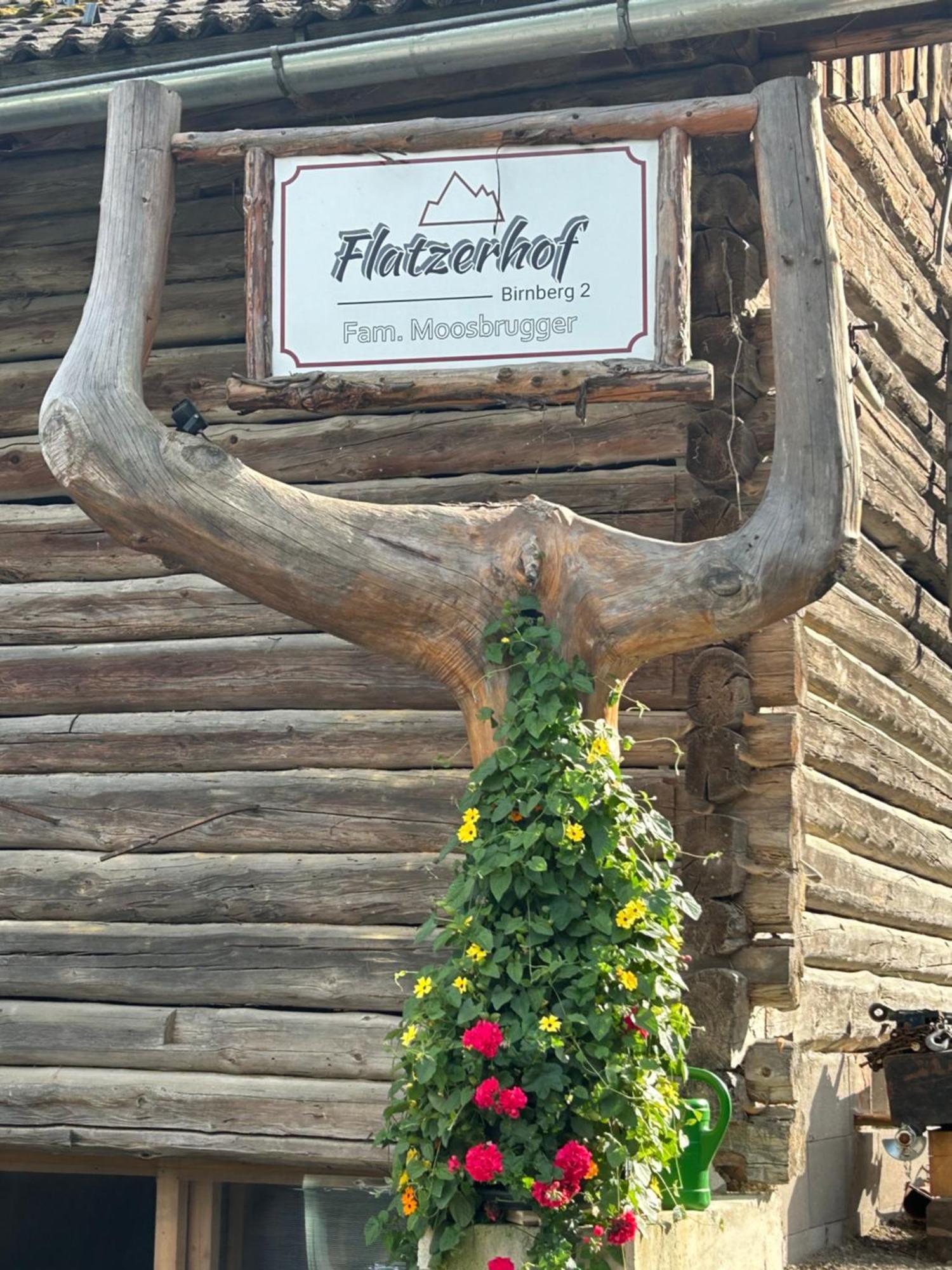 Flatzerhof Daire Haus im Ennstal Dış mekan fotoğraf