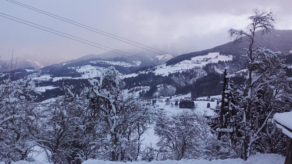 Flatzerhof Daire Haus im Ennstal Dış mekan fotoğraf