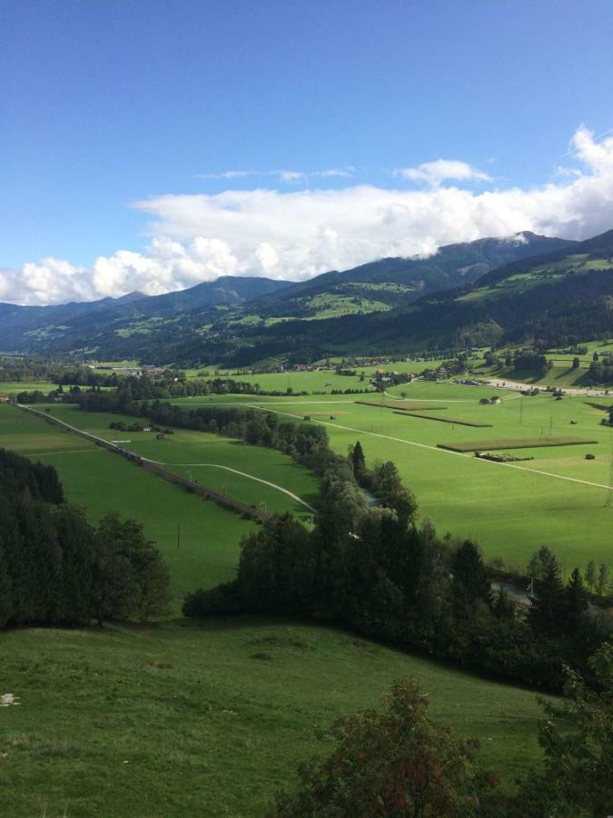 Flatzerhof Daire Haus im Ennstal Dış mekan fotoğraf